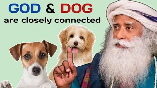 "GOD & DOG are connected" | Sadhguru On "Dogs- Creators Gift To Humanity" | Sadhguru Latest