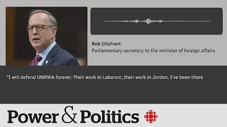 In a leaked call, Liberal MP rips his government's policy on Gaza war | Power & Politics