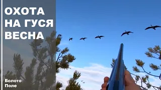 Охота на гуся