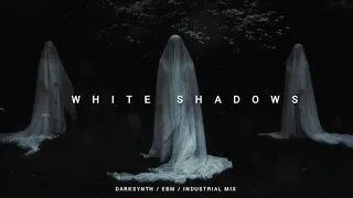 Darksynth / Cyberpunk / Dark Electro Mix 'White Shadows'