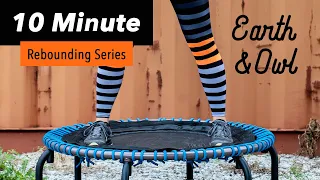 10 Minute Rebounding Workout for Beginners and Seniors YOU CHOOSE the Intensity Level