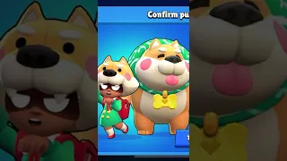 The CUTEST Shiba Nita Skin On Sale! | Brawl Stars #Shorts