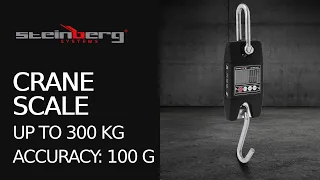 Crane Scale Steinberg Systems SBS-KW-300SW | Product presentation