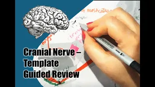 Cranial Nerve draw along with template