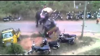 Elephant goes berserk - causes crazy damage in India!