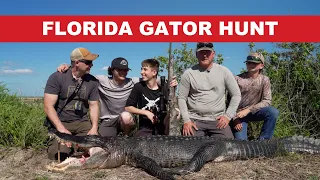Florida Gator Hunt