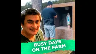 Busy days on the farm | KAMI | Gary Estrada and Bernadette Allyson have no time to waste on