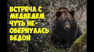 Встреча с медведем, не для слабонервных. Истории из жизни.