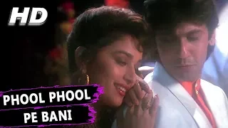 Phool Phool Pe Bani Teri Tasveer | Kavita Krishnamurthy, Udit Narayan | Phool Songs | Madhuri