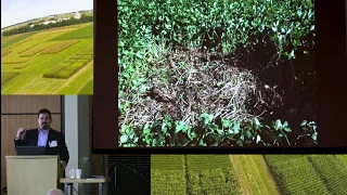 Matt Ruark OGRAIN 2018 - Legume Cover Crops for Organic Grains