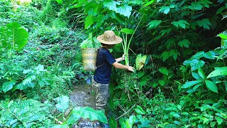 Fence The Pond, Planting Trees: Survival Alone In The Rainforest | EP.75