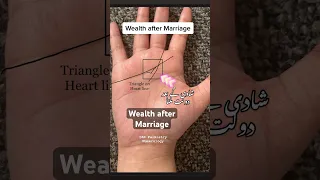 Palmistry | Wealth and Money Triangle for Marriage lines #palmistry #palm #reading #shorts #online