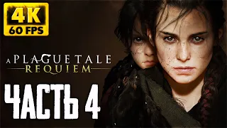 A Plague Tale: Requiem прохождение на русском #4 ► Релиз Геймплей Обзор и первый взгляд [4K]