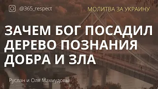 Зачем Бог  посадил в Эдеме дерево познания добра и зла?