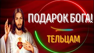 ♉БОЖЕСТВЕННЫЙ ПОДАРОК ЖДЁТ ТЕЛЬЦОВ! ГОТОВЬТЕСЬ!  ТАКОЕ БЫВАЕТ РАЗ В ЖИЗНИ! ВАМ ОЧЕНЬ ПОВЕЗЛО!