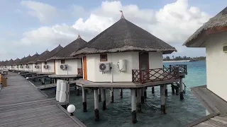 Safari Island Resort & Spa Maldives review room tour