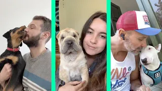 kiss your dog on the head and record their reaction