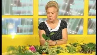 Наталя Земна - 16.08.2011 - "На:часі" (місто Рівне)