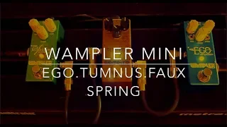 Wampler Tumnus, Ego & Faux Spring Reverb I Shred Shed