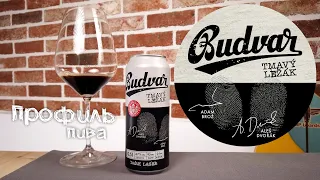 Tmavý ležák - Budweiser Budvar
