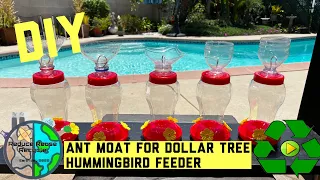 DIY Ant moat for DOLLAR TREE Hummingbird feeder