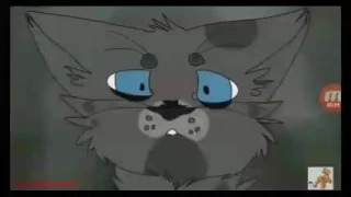 Коты Воители - Звездоцап.(Tigerstar) - Заказ с канала Пятноспинка и Night Furry.(Чит. Описание)