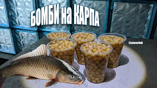 Горохові бомби🤯🎣🐟🐟🐟 Стаканчики на Карпа. Снасть на Коропа