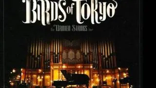Birds of Tokyo - Broken Bones (live)