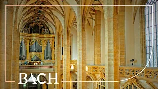 Bach - In dulci jubilo BWV 608 - De Man | Netherlands Bach Society