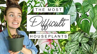 HARDEST Plants To Keep Alive 🌱 The Most Difficult Houseplants In My Collection