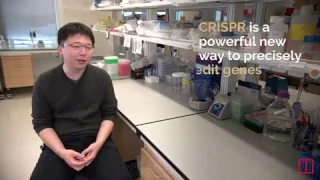 Feng Zhang CRISPR