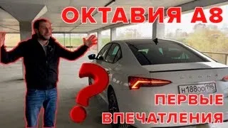 Шкода Октавия А8 в комплектации Стайл плюс (Style Plus)