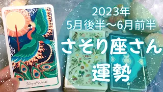 さそり座さん♏️5月後半〜6月前半の運勢✨全体運・仕事運・人間関係・金運