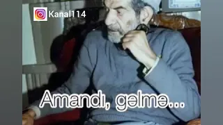 Ustad sehriyar amandi gelme cox tesirli