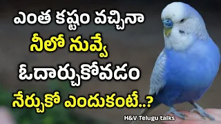 jeevitha satyalu#197| manchi matalu| inspiring quotes| motivational quotes |life changing quotes