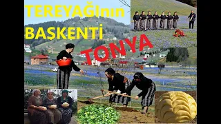 TONYA (Trabzon)