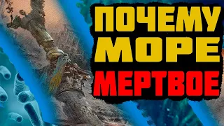 ПОЧЕМУ МЕРТВОЕ МОРЕ ТАК НАЗВАНО