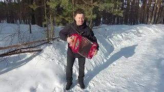 ЗАДОРНАЯ ПЕСНЯ! А ГАРМОНЬ ,КАК ПТИЦА!🎶