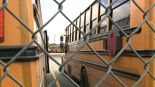 Calls for change after 6-year-ol sexually assaulted by older student on school bus