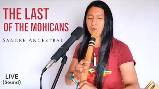 The Last of the Mohicans | Sangre Ancestral Live Session | Native American Music | Flute #subscribe