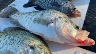 Crappie Fishing Granger Lake, TX