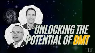 Unlocking The Potential Of DMT | Timothy Ko CEO Entheon, Andrew Hegle CSO Entheon