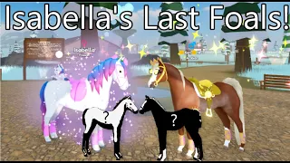 Isabella's Last Foals  - Isabella x @VanillaBunilla's Ken