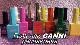 Гель лак Canni Обзор и Выкраска / Распаковка AliExpress