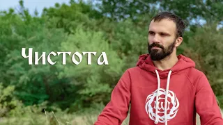 Чистота. Павел Каминский.