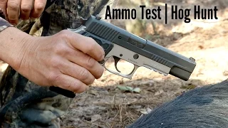 Ammo Test | Handgun Hog Hunt