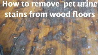 HOW TO REMOVE PET URINE/WATER DAMAGE STAINS FROM WOOD FLOORS