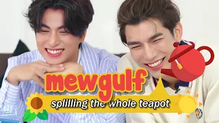 MewGulf ☕ Spilling the whole Teapot