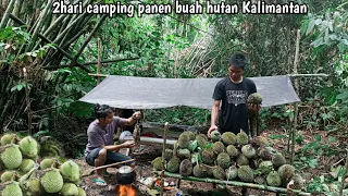 2hari camping fishing and panen buah durian hutan Kalimantan