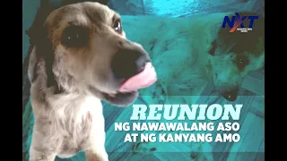 Reunion ng nawawalang aso na si Coco at ng kanyang amo | NXT